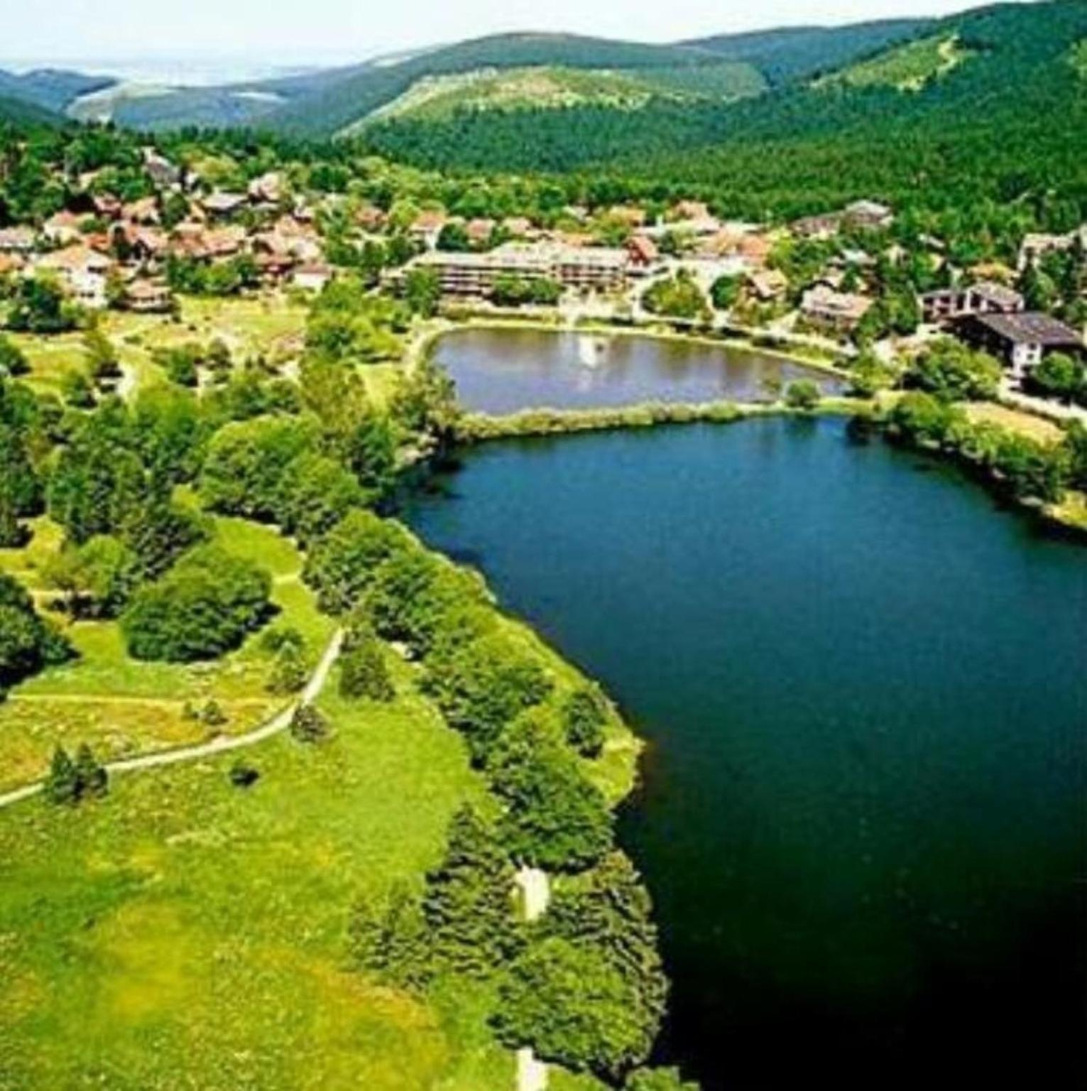 Apartament Berg Harmonie Goslar Zewnętrze zdjęcie